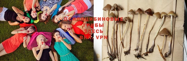 амф Баксан