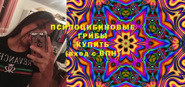 MESCALINE Аркадак